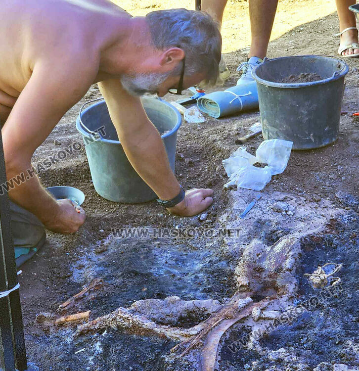 Археолози разкриха уникални златни находки в тополовградско село