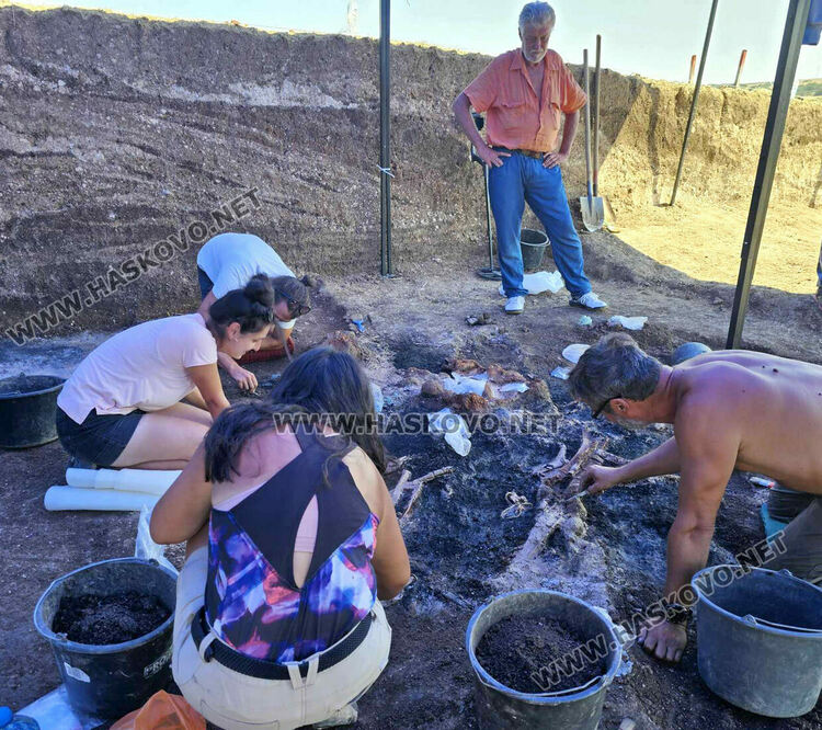 Археолози разкриха уникални златни находки в тополовградско село