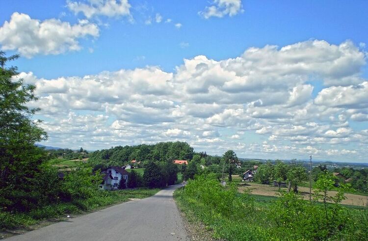  Миле Китич подари на селото си асфалт!