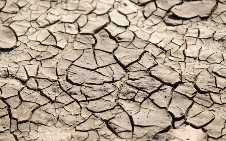 В Северна България това лято водата е с 87% по-малко от миналото