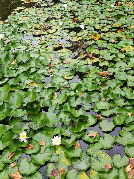 Слънчево и горещо днес в Кърджали