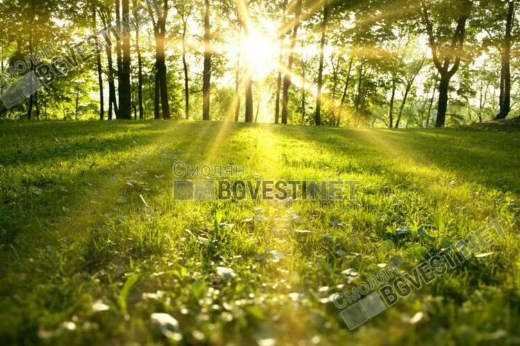 Днес слънце с купеста облачност след обяд