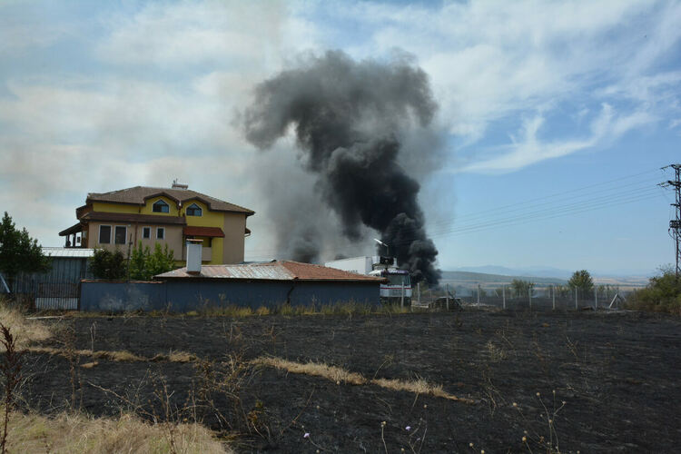 Пожарът, обхванал над 500 декара, вече е овладян