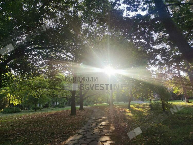 Предимно слънчево и ветровито днес в Кърджали