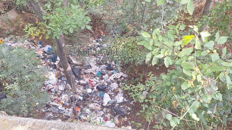 Анета Георгиева:Община Кърджали да предприеме мерки срещу незаконните сметища!