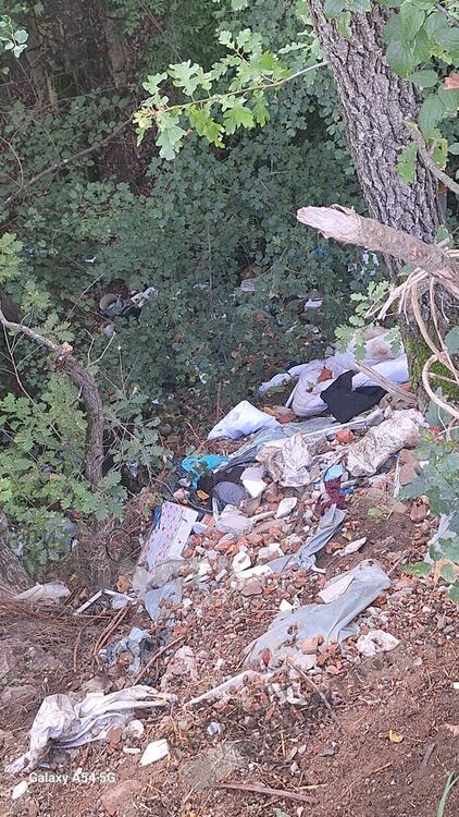 Анета Георгиева:Община Кърджали да предприеме мерки срещу незаконните сметища!