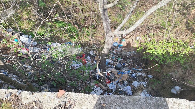 Анета Георгиева:Община Кърджали да предприеме мерки срещу незаконните сметища!