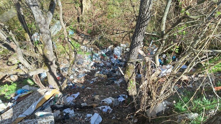 Анета Георгиева:Община Кърджали да предприеме мерки срещу незаконните сметища!