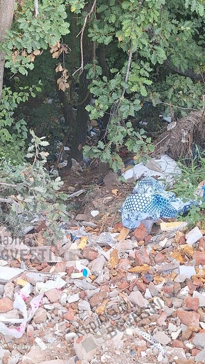 Анета Георгиева:Община Кърджали да предприеме мерки срещу незаконните сметища!