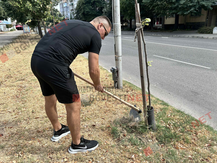 Първите две дръвчета са осиновени. Искате ли и вие?