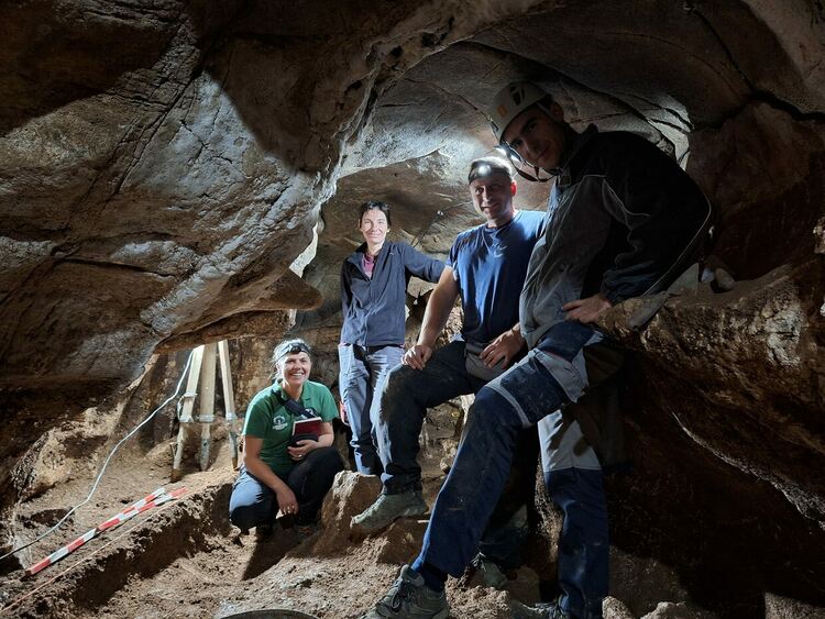 Зъб от пещерен лъв е най-впечатляващата находка при разкопките в пещерата "Чая"