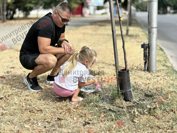 Първите две дръвчета са осиновени. Искате ли и вие?
