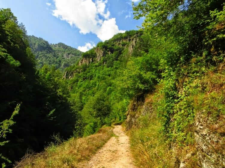 Туристка пострада на екопътека край Девин, помогнаха й от пожарната