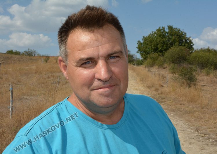 Бяло биволче се роди в Дряново, очакват да донесе късмет и надежда