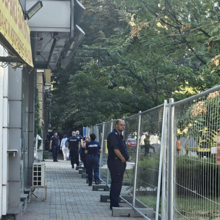 Започна изсичане на дърветата в София, секачите се охраняват от полиция