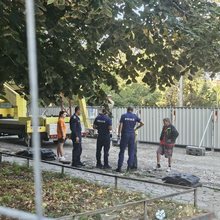 Започна изсичане на дърветата в София, секачите се охраняват от полиция