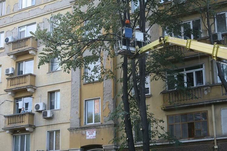 Георги Димитров