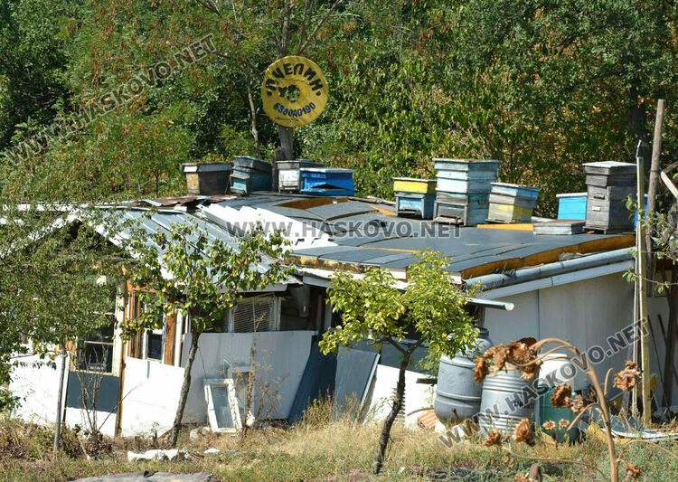 Пчелар направи уникален параклис между 4 дървета