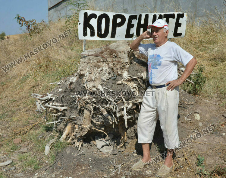 Пчелар направи уникален параклис между 4 дървета