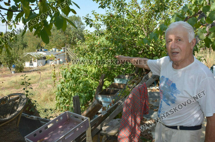 Пчелар направи уникален параклис между 4 дървета
