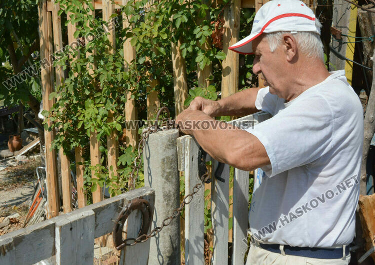 Пчелар направи уникален параклис между 4 дървета