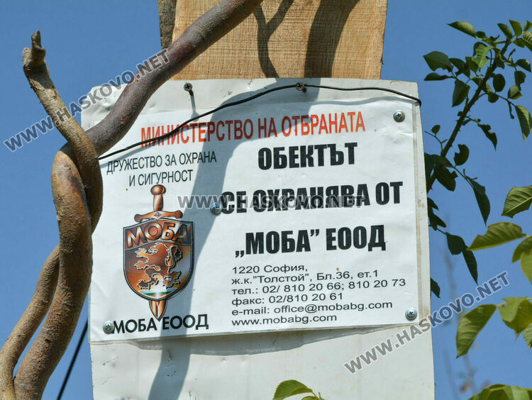 Пчелар направи уникален параклис между 4 дървета