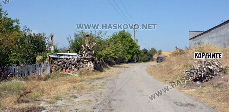 Пчелар направи уникален параклис между 4 дървета