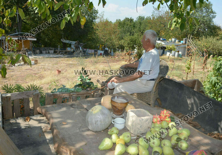 Пчелар направи уникален параклис между 4 дървета