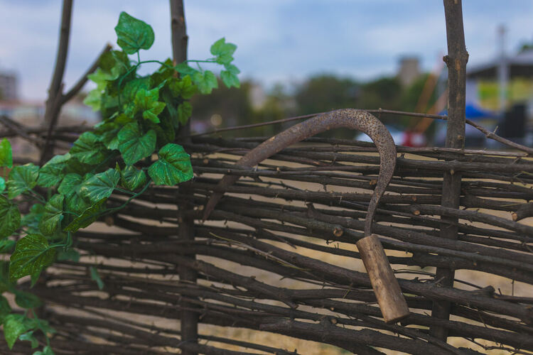 Фестивалът „На хармана“ отново в Харманли