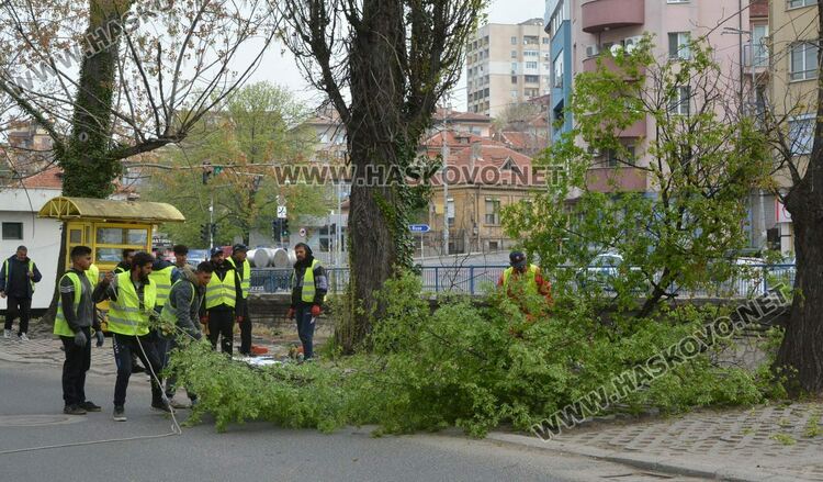 Снимка Архив Haskovo.net