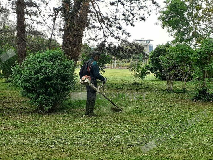 Пръскат срещу комари и кърлежи в Кърджали на 12 септември