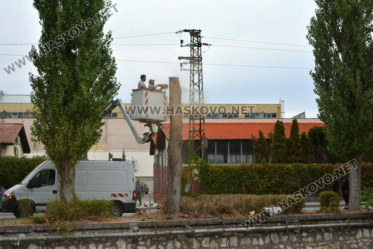 Премахват 37 изсъхнали тополи край река Хасковска