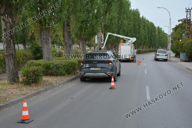 Премахват 37 изсъхнали тополи край река Хасковска