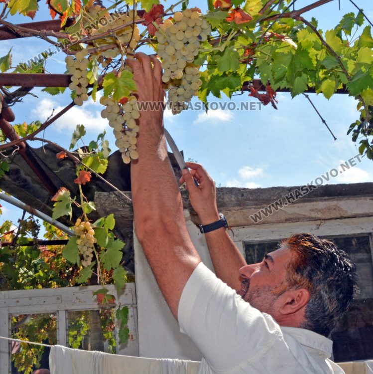 Индиец обиколи 40 държави, избра Дряново за дом в България
