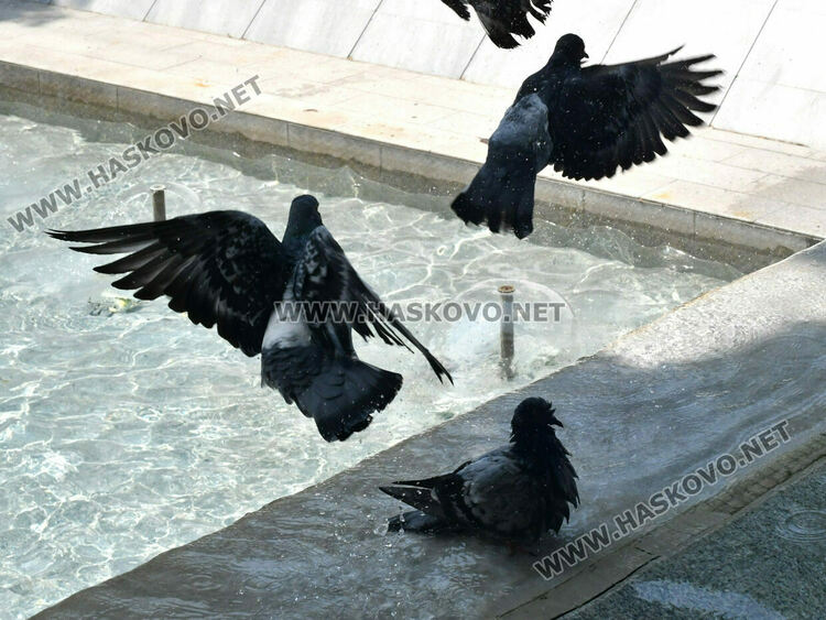 До 30 градуса в петък, но с южен вятър 