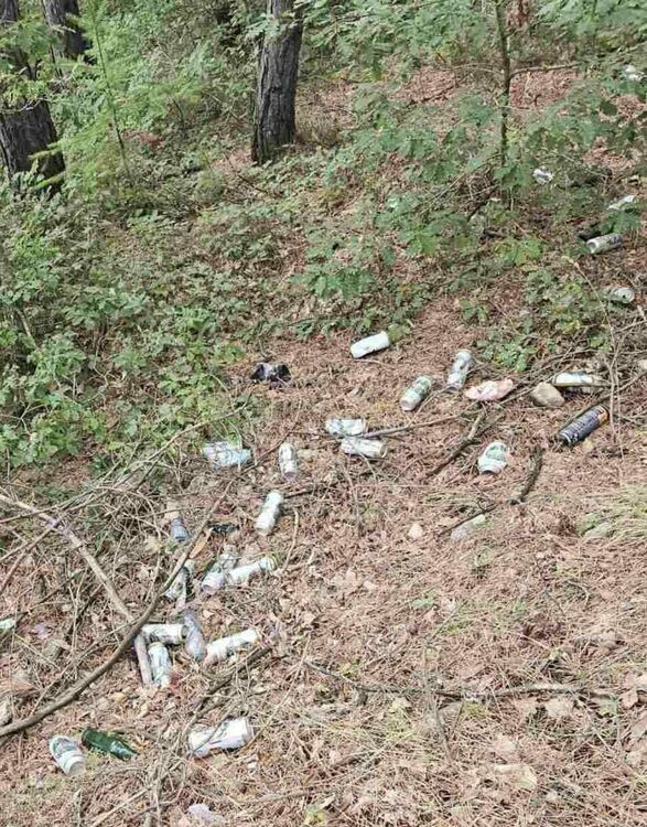 Пет тона отпадъци събраха и извозиха от община Златоград