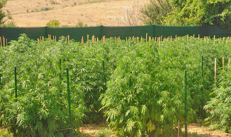 Снимката е илюстративна