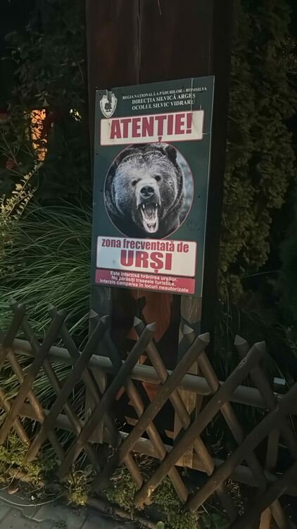 Трансфъгърашкото шосе на Румъния. Как страхът от СССР вдъхнови "най-добрия път в света"