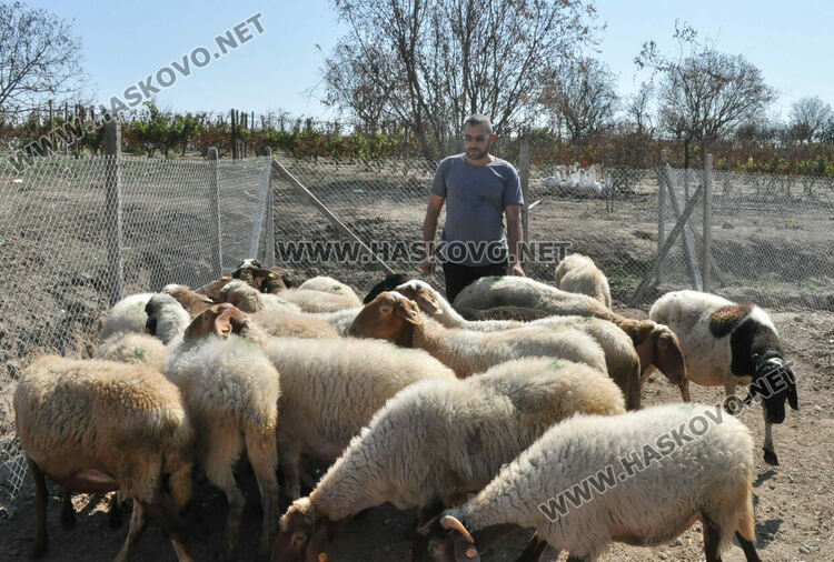 Надеждата се завърна в изгорялата ферма на Иван Янъков от Харманли