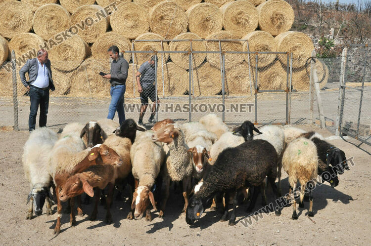 Надеждата се завърна в изгорялата ферма на Иван Янъков от Харманли