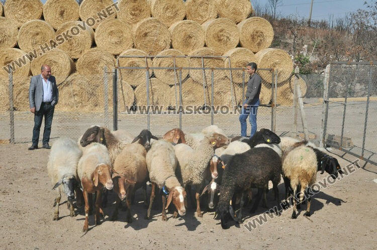 Надеждата се завърна в изгорялата ферма на Иван Янъков от Харманли