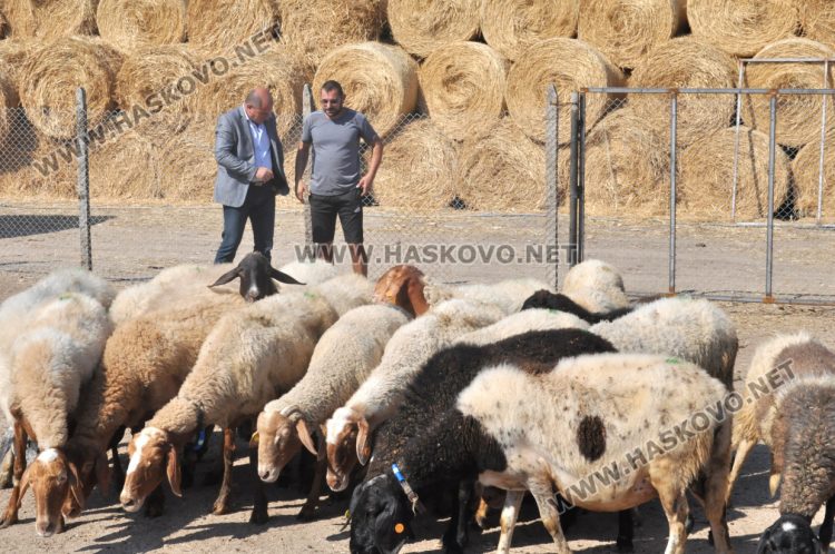 Надеждата се завърна в изгорялата ферма на Иван Янъков от Харманли