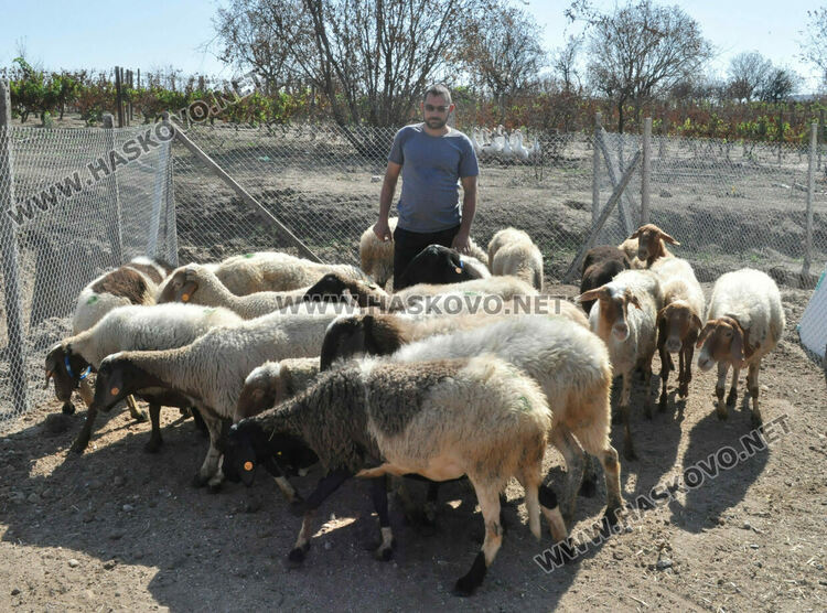 Надеждата се завърна в изгорялата ферма на Иван Янъков от Харманли