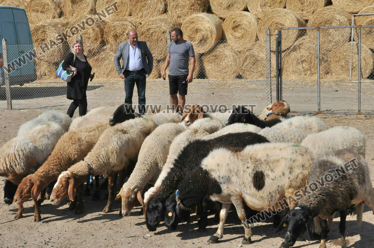 Надеждата се завърна в изгорялата ферма на Иван Янъков от Харманли