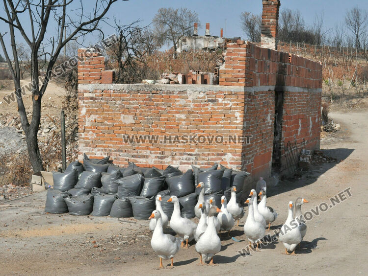 Надеждата се завърна в изгорялата ферма на Иван Янъков от Харманли