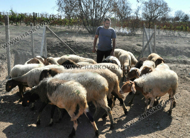 Надеждата се завърна в изгорялата ферма на Иван Янъков от Харманли