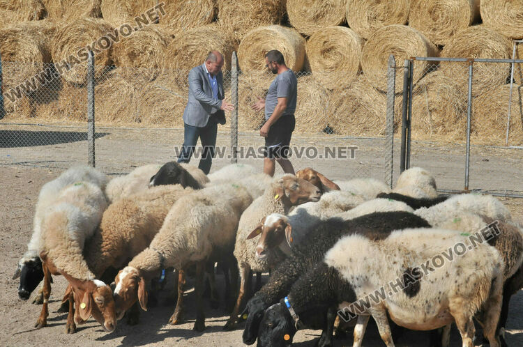 Надеждата се завърна в изгорялата ферма на Иван Янъков от Харманли