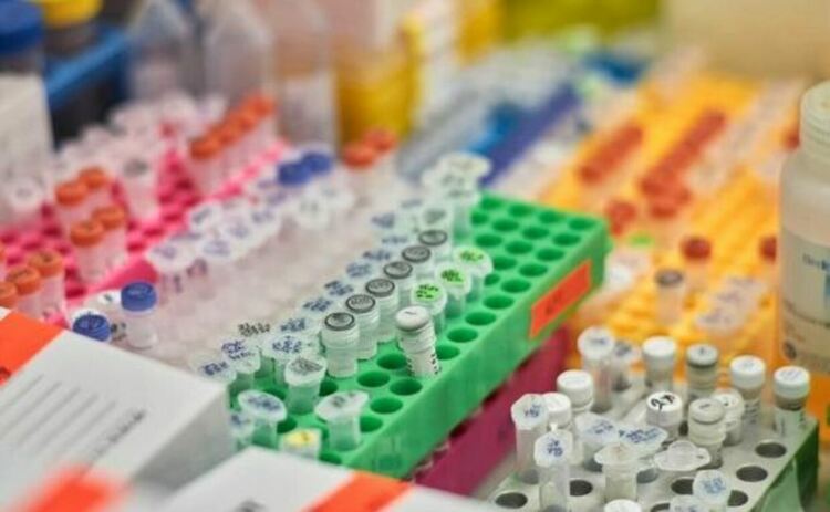 В лабораторията на Геролд Шанк изследователи от университета в Цюрих са използвали протеиново инженерство и AI модел, за да направят протеина TnpB много по-ефективен за редактиране на генома