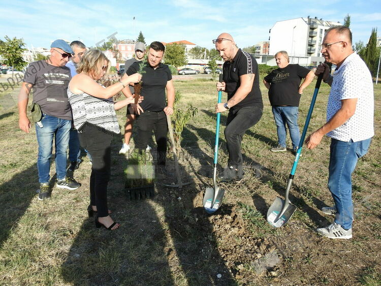Коалиция ПП-ДБ откри предизборната си кампания в Кърджали,засади гора на Промяната