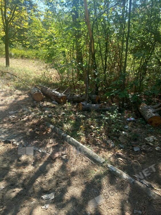 Незаконна рампа за велосипедисти в парк „Простор” взриви социалните мрежи